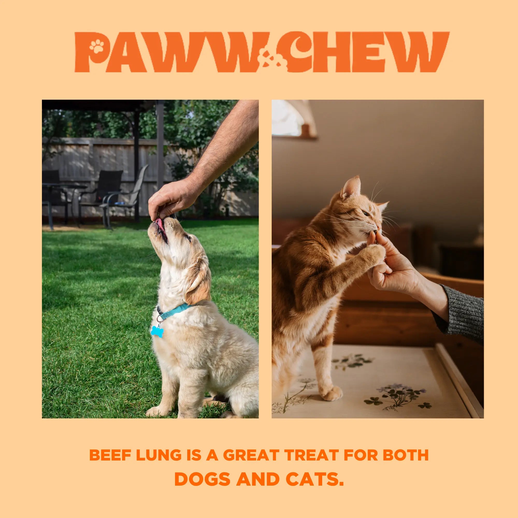 Paww Chew Beef Lung Treats 1 LB Pack - All Natural Single Ingredient Grain-Free Low Odor-Free Chemical-Free Made in USA