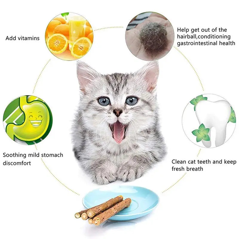 Natural Silvervine Cat Chew Sticks – 2 Packs (20 Sticks) Natural Matatabi Chew Toys for Cats & Kittens, Dental Care, Teeth Cleaning, Calm Anxiety, Aggressive Chewer Toy, Interactive Play Toys
