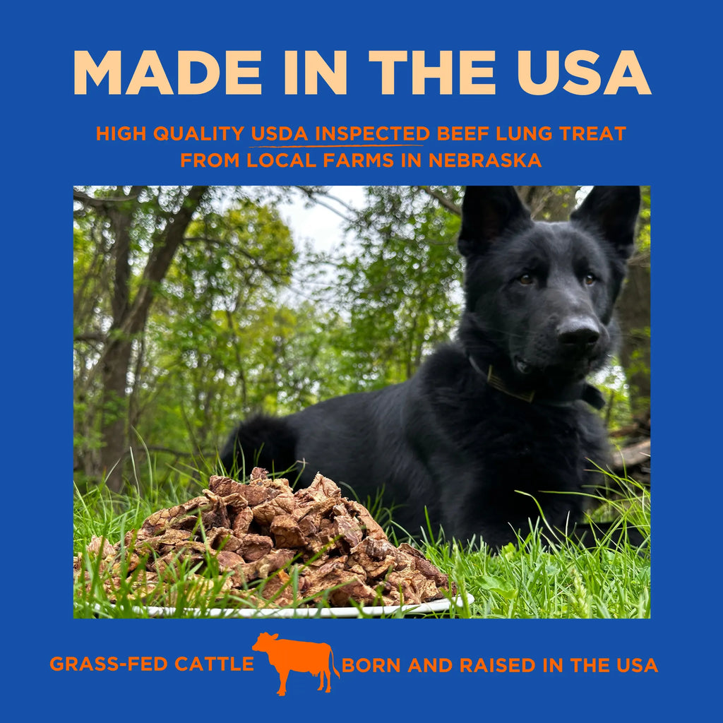 Paww Chew Beef Lung Treats 1 LB Pack - All Natural Single Ingredient Grain-Free Low Odor-Free Chemical-Free Made in USA