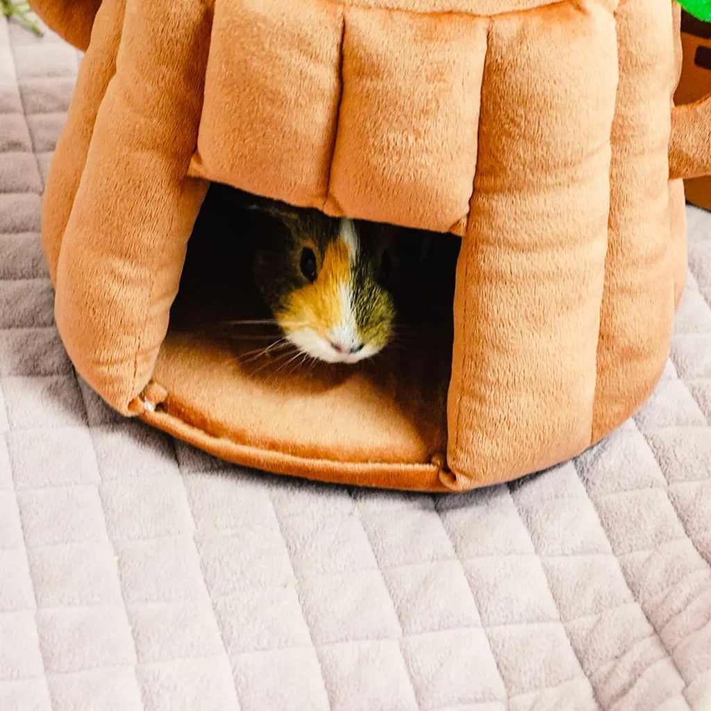 Guineadad Tree Stump Hidey for Guinea Pigs