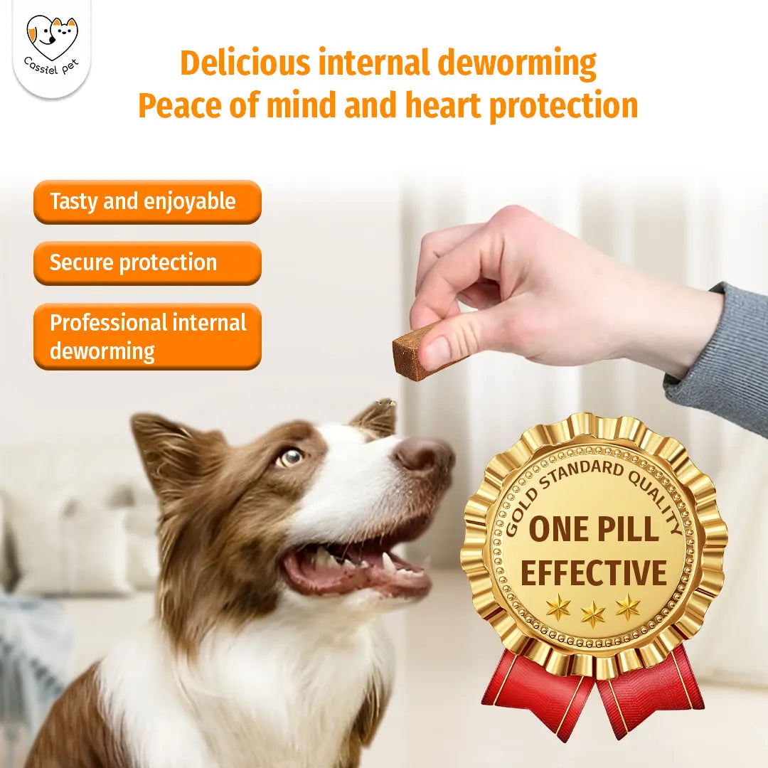 Cassicel-Pet Natural Dog Parasite Support Chews – Easy Feed Herbal Deworming Treats Chicken Flavor Parasite & Wellness Boost Treats Supports Digestive & Skin Health Immune Support
