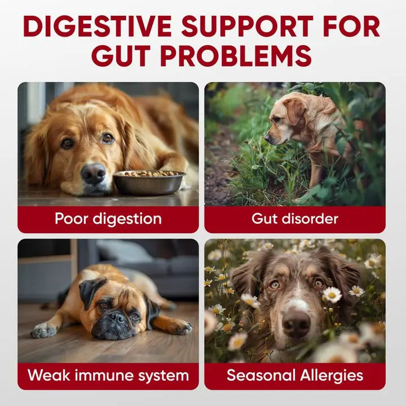 Pre+Probiotics for Dogs Digestive Health – 120 Soft Chews