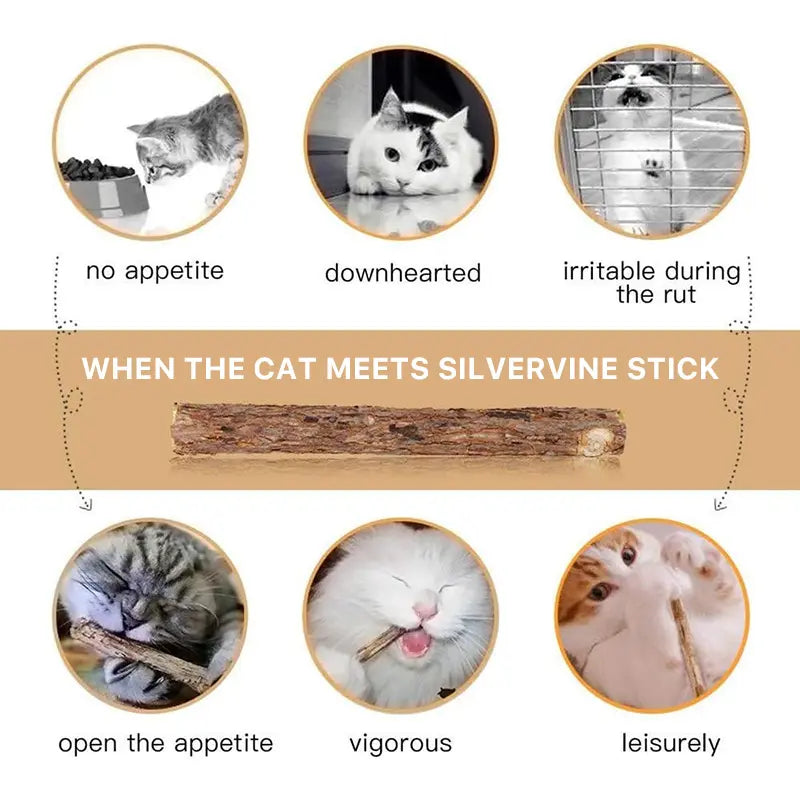 Natural Silvervine Cat Chew Sticks – 2 Packs (20 Sticks) Natural Matatabi Chew Toys for Cats & Kittens, Dental Care, Teeth Cleaning, Calm Anxiety, Aggressive Chewer Toy, Interactive Play Toys