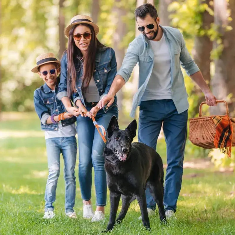 Hands Free Dog Rope Leash Adjustable Waist Crossbody Rope with Explosion Proof Handle Lockable Metal Clip for Easy Walking