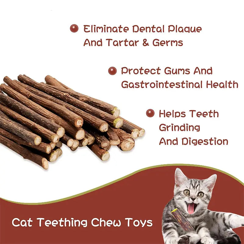 Natural Silvervine Cat Chew Sticks – 2 Packs (20 Sticks) Natural Matatabi Chew Toys for Cats & Kittens, Dental Care, Teeth Cleaning, Calm Anxiety, Aggressive Chewer Toy, Interactive Play Toys