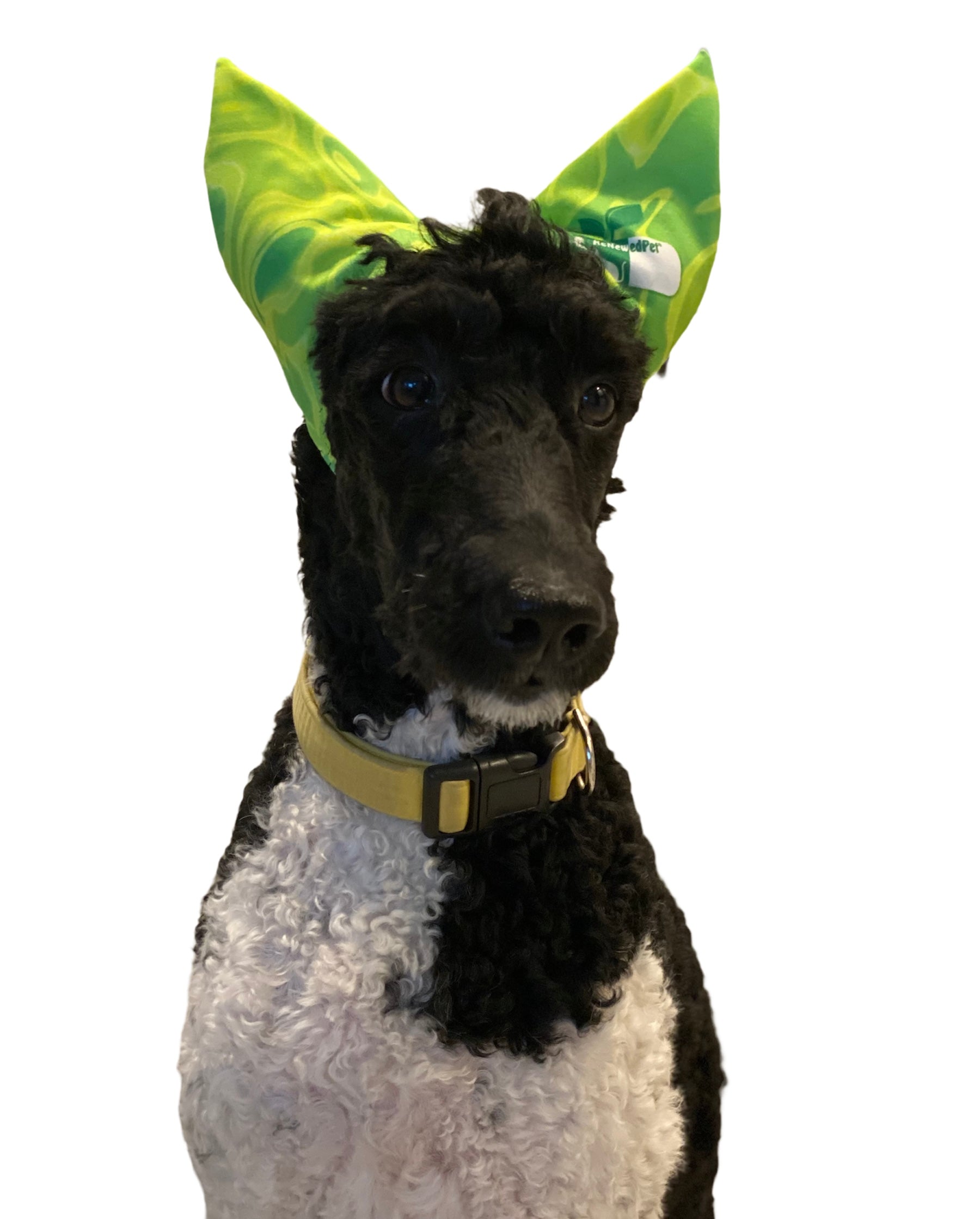 4-All Pets Shower, Ear & Sun Cap