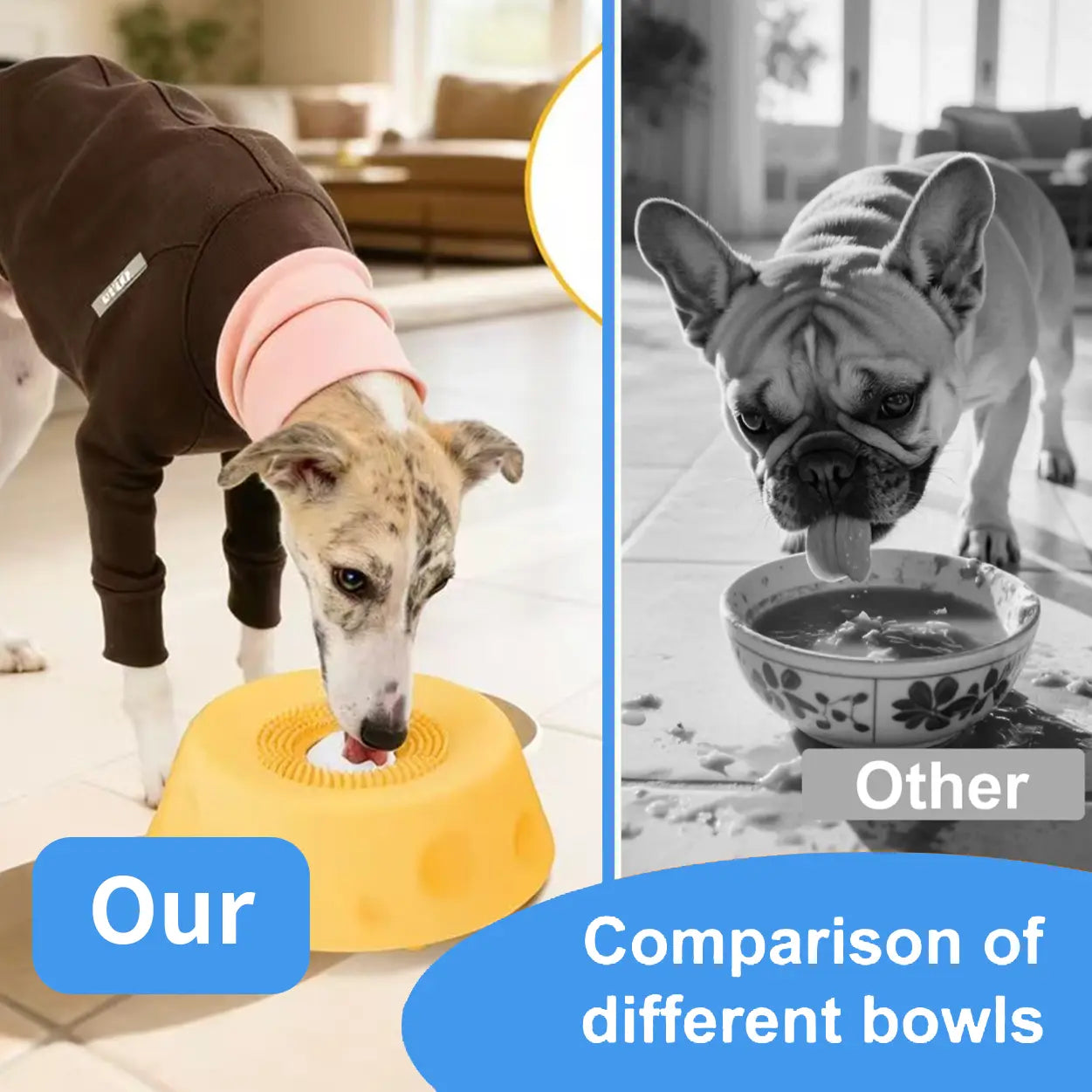 Dog Slow Feeder Bowl with Rolling Ball, No Mess Liquid Treat Lick Bowl, 2-In-1 Enrichment Feeder with Suction Cups