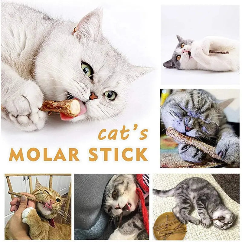 Natural Silvervine Cat Chew Sticks – 2 Packs (20 Sticks) Natural Matatabi Chew Toys for Cats & Kittens, Dental Care, Teeth Cleaning, Calm Anxiety, Aggressive Chewer Toy, Interactive Play Toys