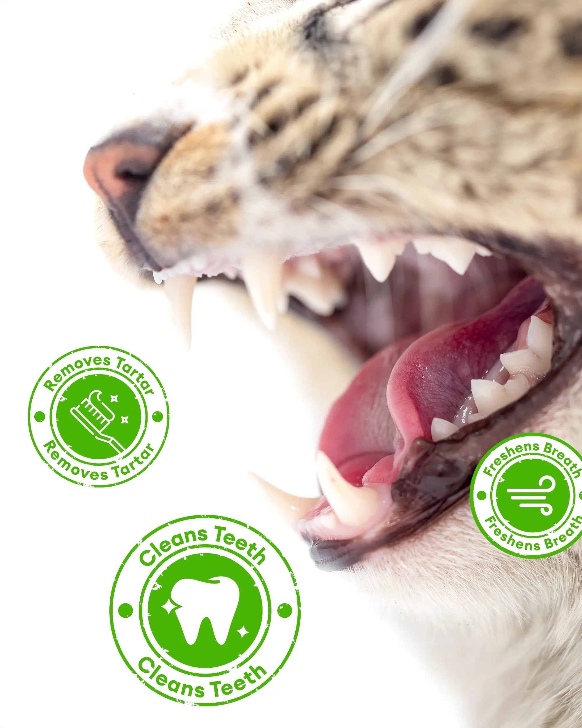 Cat Grass Treats for Hairball Relief, Natural Chicken Catnip Biscuits, Low-Calorie Healthy Snacks for Indoor Cats, Supports Digestion & Dental Care 3.53Oz
