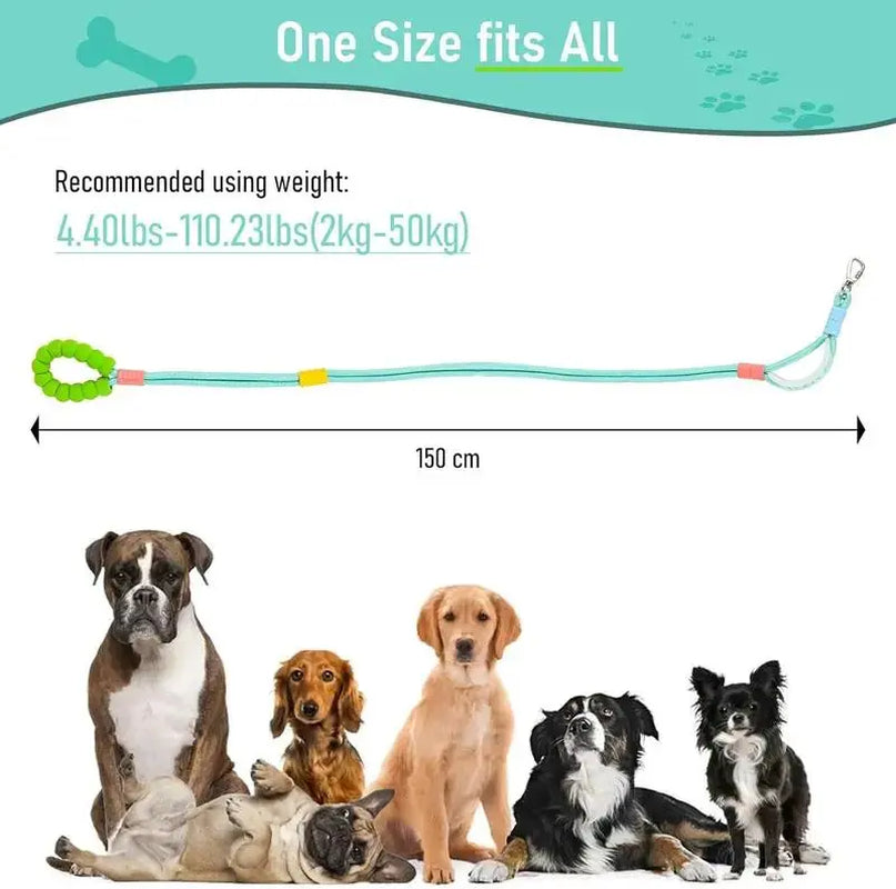 Hands Free Dog Rope Leash Adjustable Waist Crossbody Rope with Explosion Proof Handle Lockable Metal Clip for Easy Walking