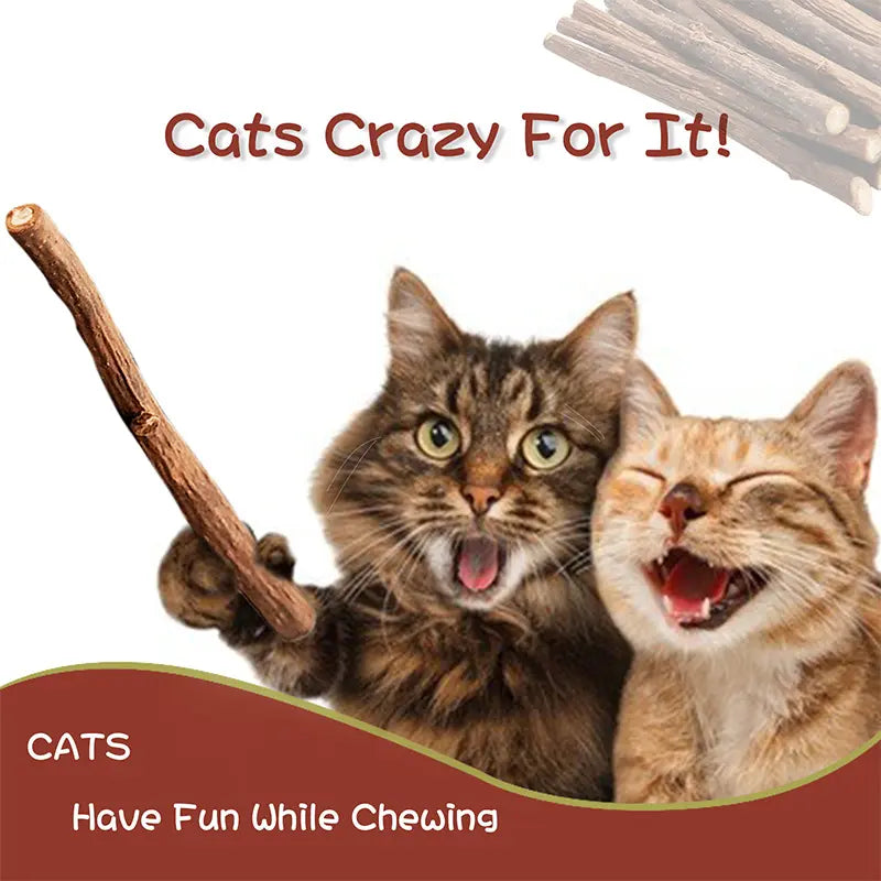 Natural Silvervine Cat Chew Sticks – 2 Packs (20 Sticks) Natural Matatabi Chew Toys for Cats & Kittens, Dental Care, Teeth Cleaning, Calm Anxiety, Aggressive Chewer Toy, Interactive Play Toys