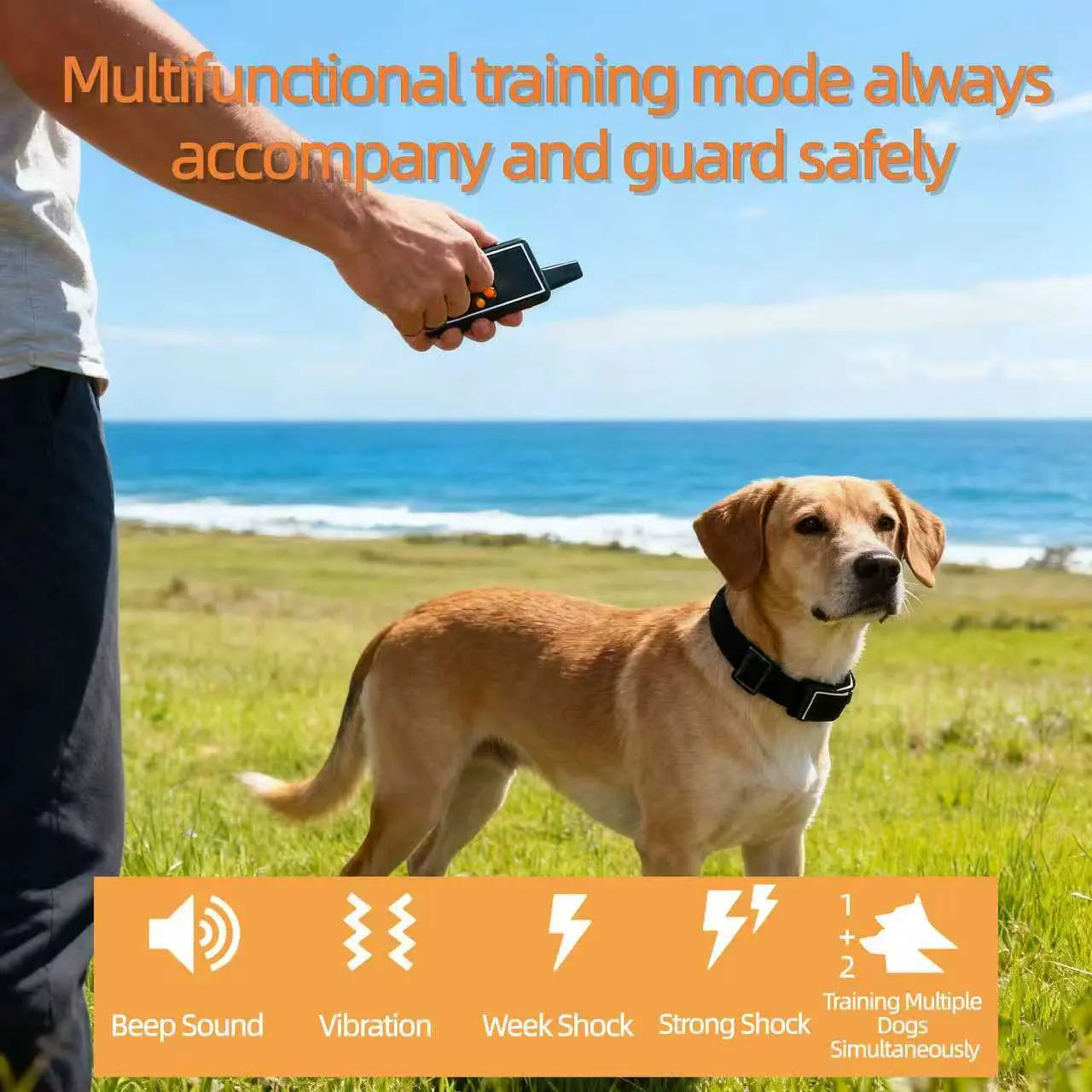 Dog Training Collar Three Modes Ipx7 Waterproof Night Light Flashlight 1000M Range Correct Bad Habits, Dog Obedience Trainer