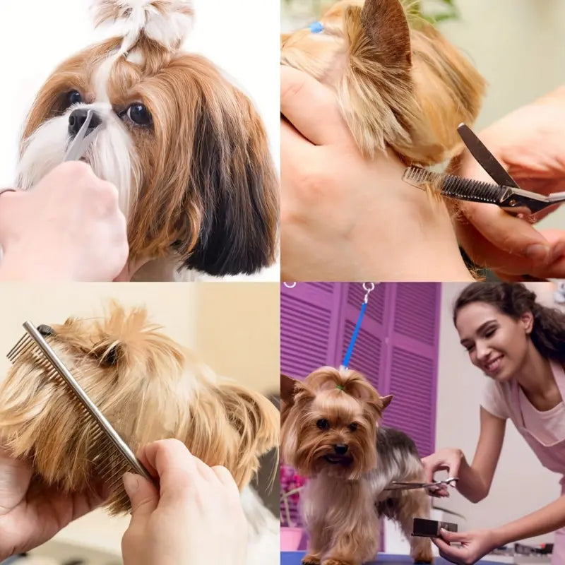 5 in 1 Professional Grooming Scissors for Dogs 4CR with Safety round Tip, Heavy Duty Titanium Coated Straight & Thinning & Curved Shears