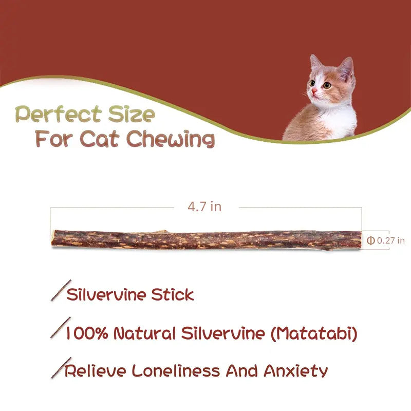 Natural Silvervine Cat Chew Sticks – 2 Packs (20 Sticks) Natural Matatabi Chew Toys for Cats & Kittens, Dental Care, Teeth Cleaning, Calm Anxiety, Aggressive Chewer Toy, Interactive Play Toys